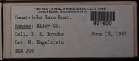 Image Associated With the Occurence